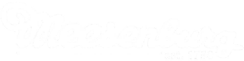 Logo von Meesenburg, Schriftzug in blauer Farbe.