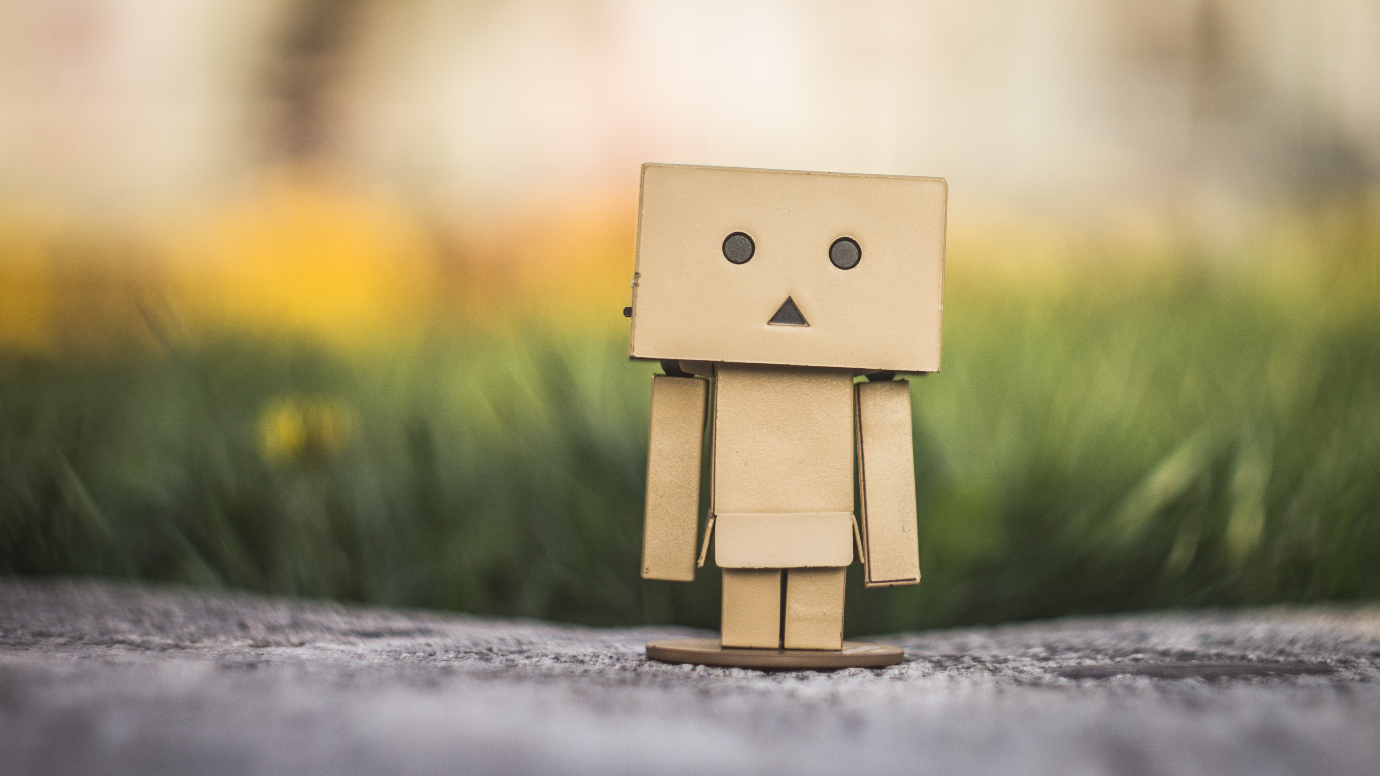 Eine kleine Figur aus Pappe steht auf dem Asphalt. Ihr Kopf, Arme, Torso und Beine bestehen jeweils aus einem Pappkarton, die Augen sind durch Kreise, der Mund durch ein Dreieck angedeutet. Im Hintergrund ist ein Blumenbeet zu erahnen.